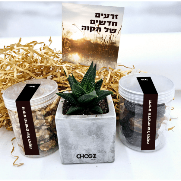 טו בשבט - מארז זרעים חדשים של תקוה